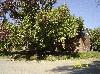 1107 PENROSE 10/20/14 1107 PENROSE 10/20/14