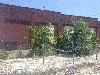 1021-1029 S GRAND BLVD 1021-1029 S GRAND BLVD