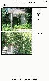 116 ESPENSCHIED ST 116 ESPENSCHIED ST