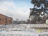 3806 EILER 1/6/17 3806 EILER 1/6/17