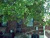 1029 CENTRAL AV 1029 CENTRAL AV